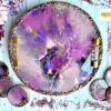 RICH PURPLE - Image 2